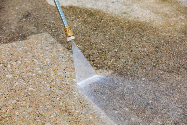 Best Driveway Pressure Washing  in Guntersville, AL