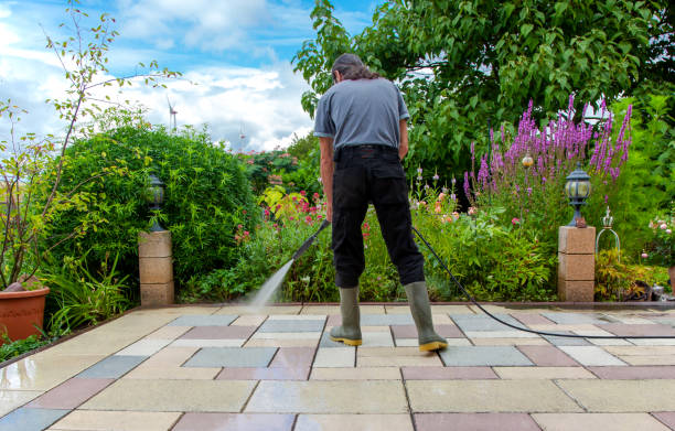 Best Parking Lot and Garage Cleaning  in Guntersville, AL