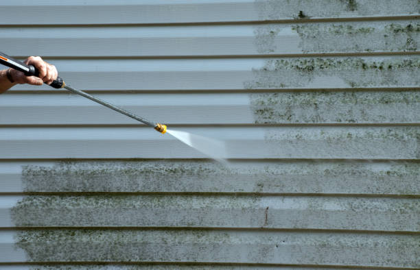 Best Roof Washing  in Guntersville, AL