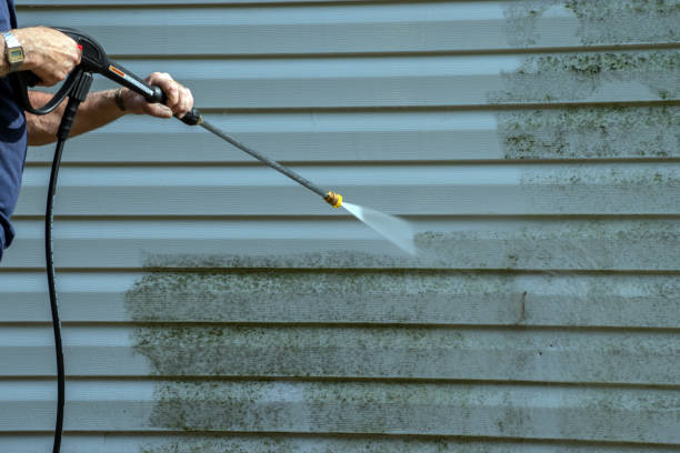Professional Pressure Washing in Guntersville, AL