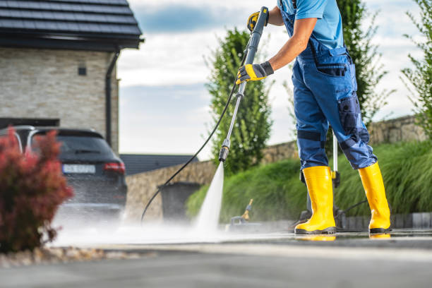Animal Enclosure Cleaning in Guntersville, AL